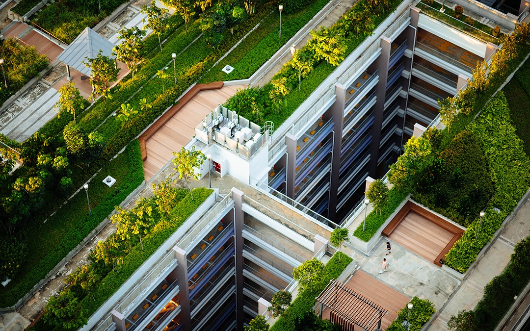Cubiertas verdes: construyendo ciudades más sostenibles