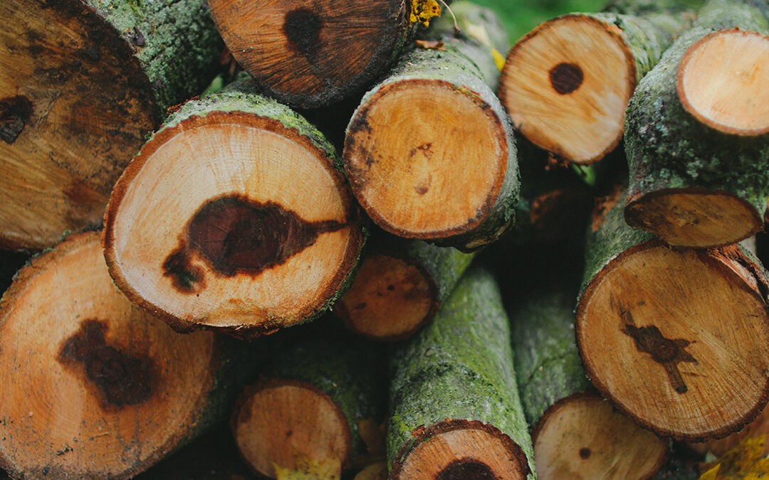 ¿Cómo contribuyen los materiales de construcción a la taxonomía verde?