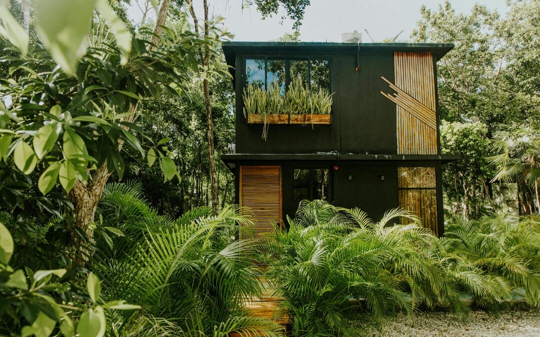 Una casa construida con materiales promovidos por la DAP.